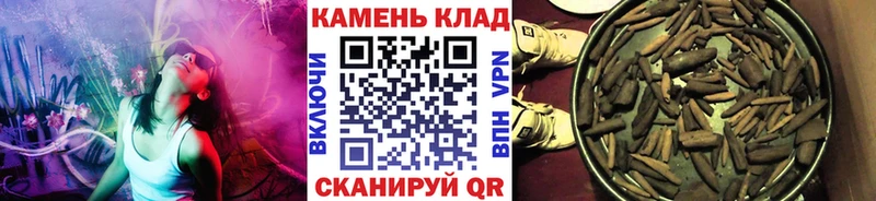 ГАШ Ice-O-Lator  Таруса 