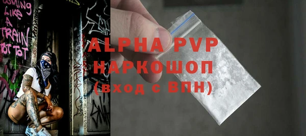 СК Алексин