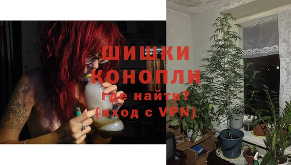 дурь Арсеньев