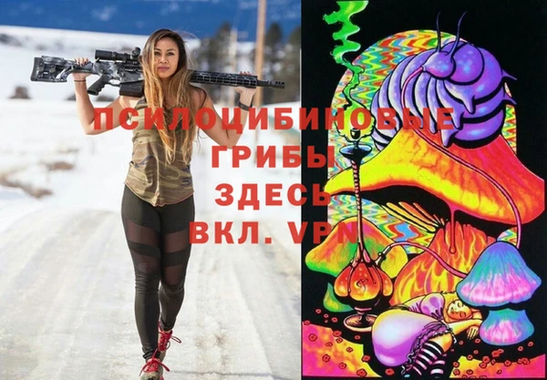 a pvp Алзамай