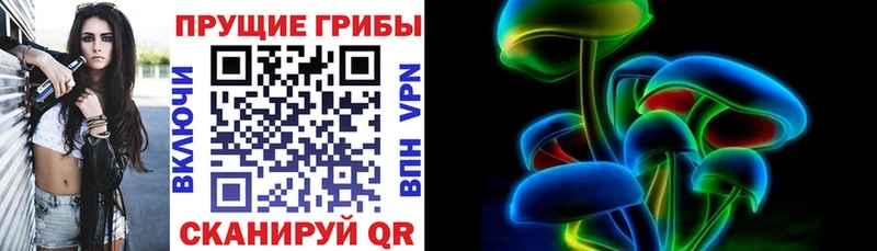 где найти наркотики  Таруса  Галлюциногенные грибы GOLDEN TEACHER 